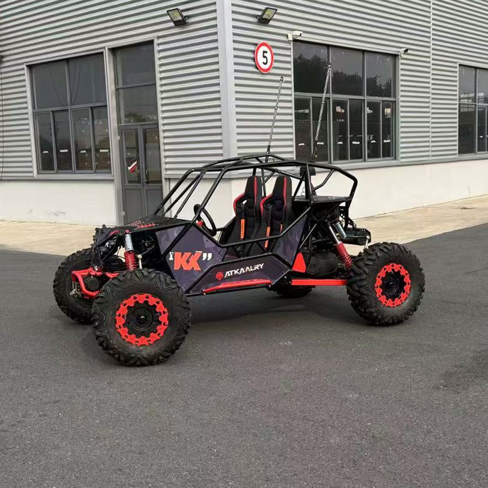 Family Use Cross Pedal Go Kart - Outdoor Power And Pedal recension och pris