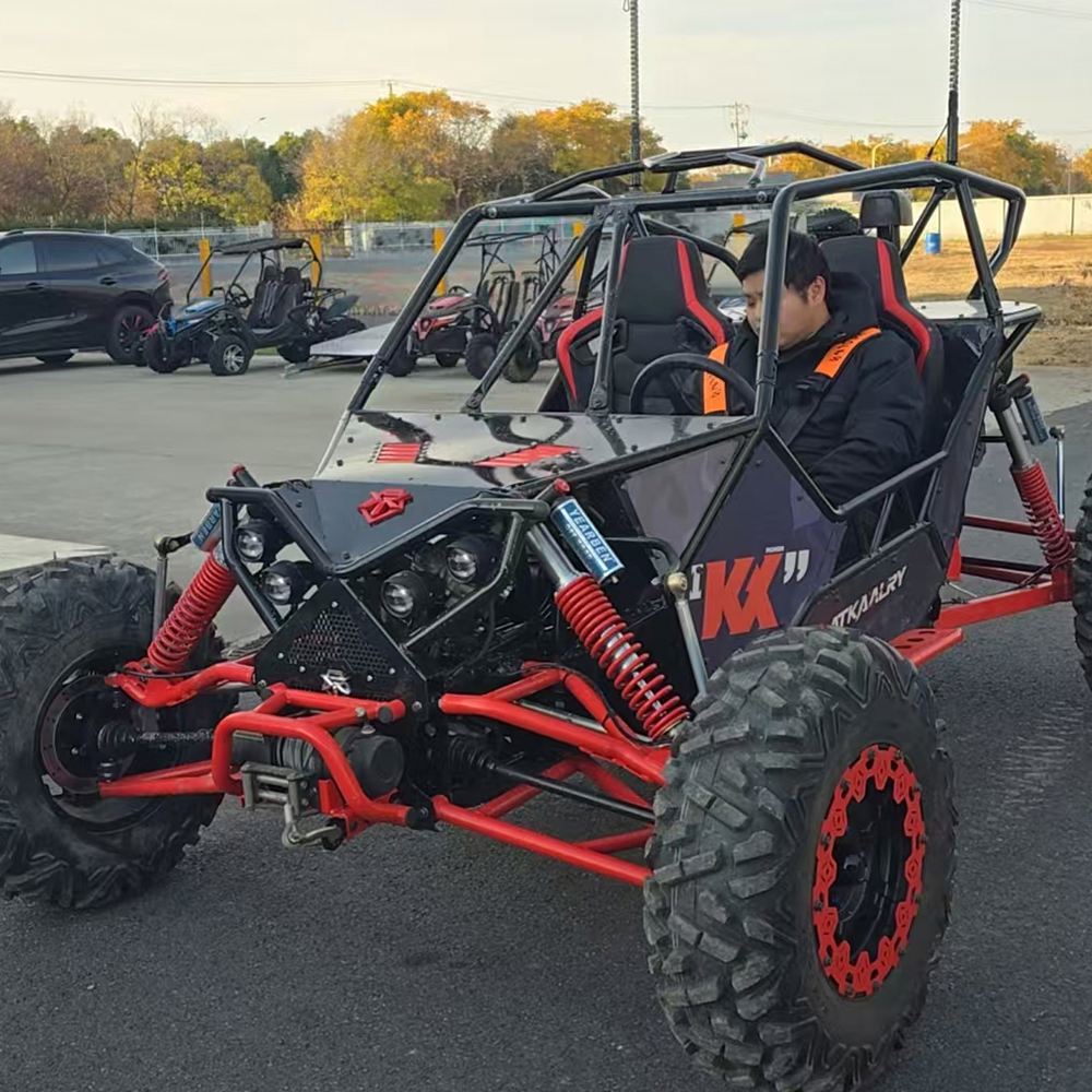 Family Use Cross Pedal Go Kart - Outdoor Power And Pedal recension och pris