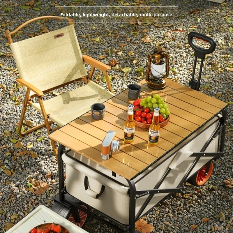 Camper Electric Power Outdoor  - Outdoor Power Recliner recension och pris
