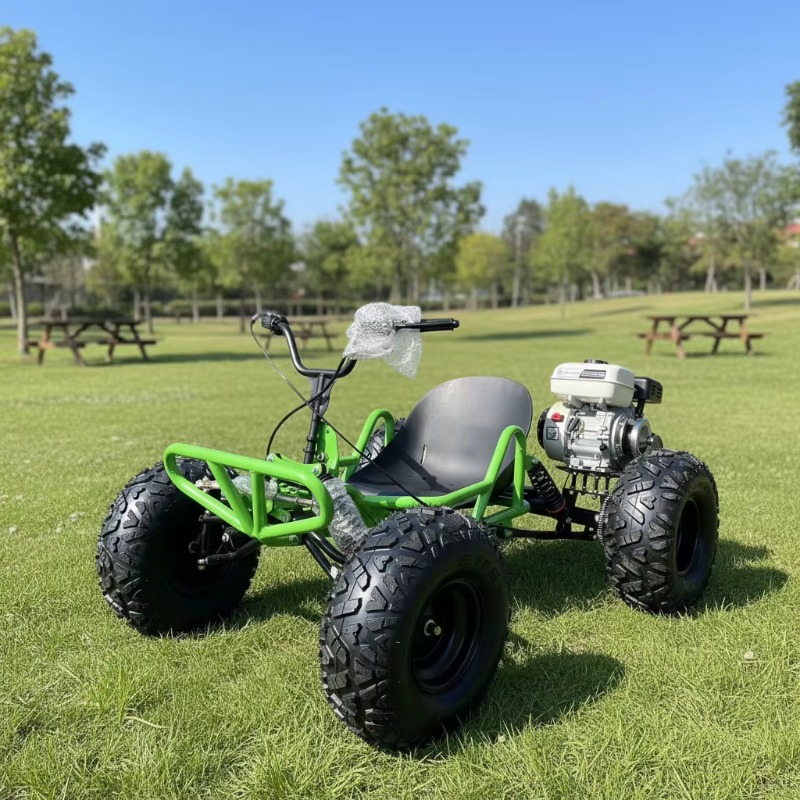 212CC 4 Stroke Pedal Go Kart I - Outdoor Power And Pedal recension och pris